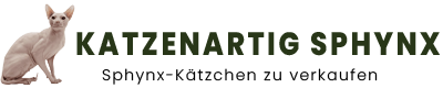 Katzenartig Sphynx